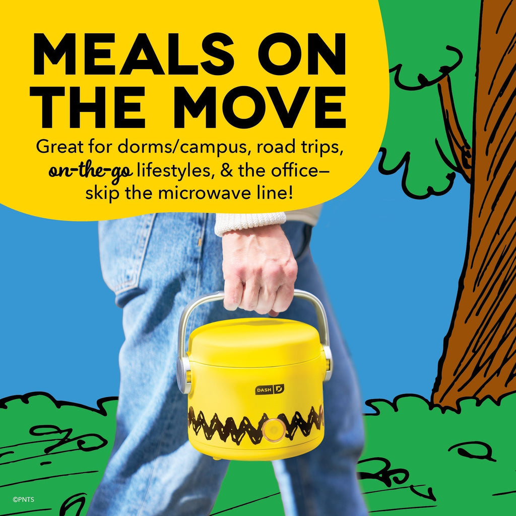 Hot2Go Electric Lunchbox (20 Ounce)